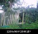PICT0373