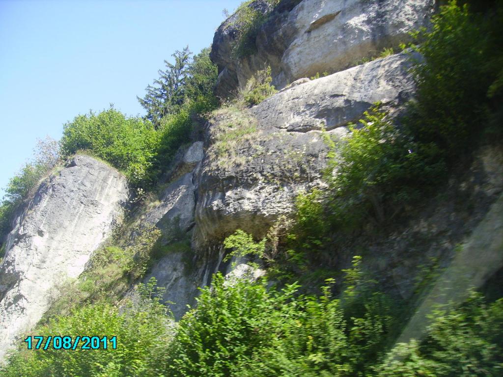 PICT0210