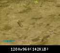 PICT0215