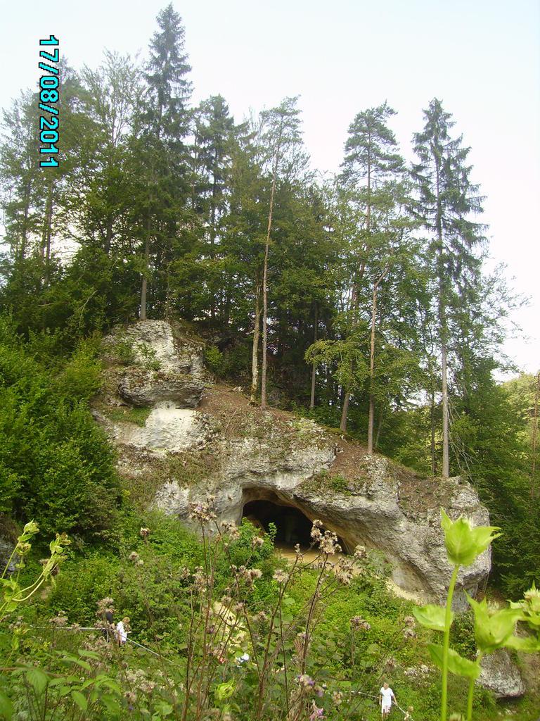 PICT0250