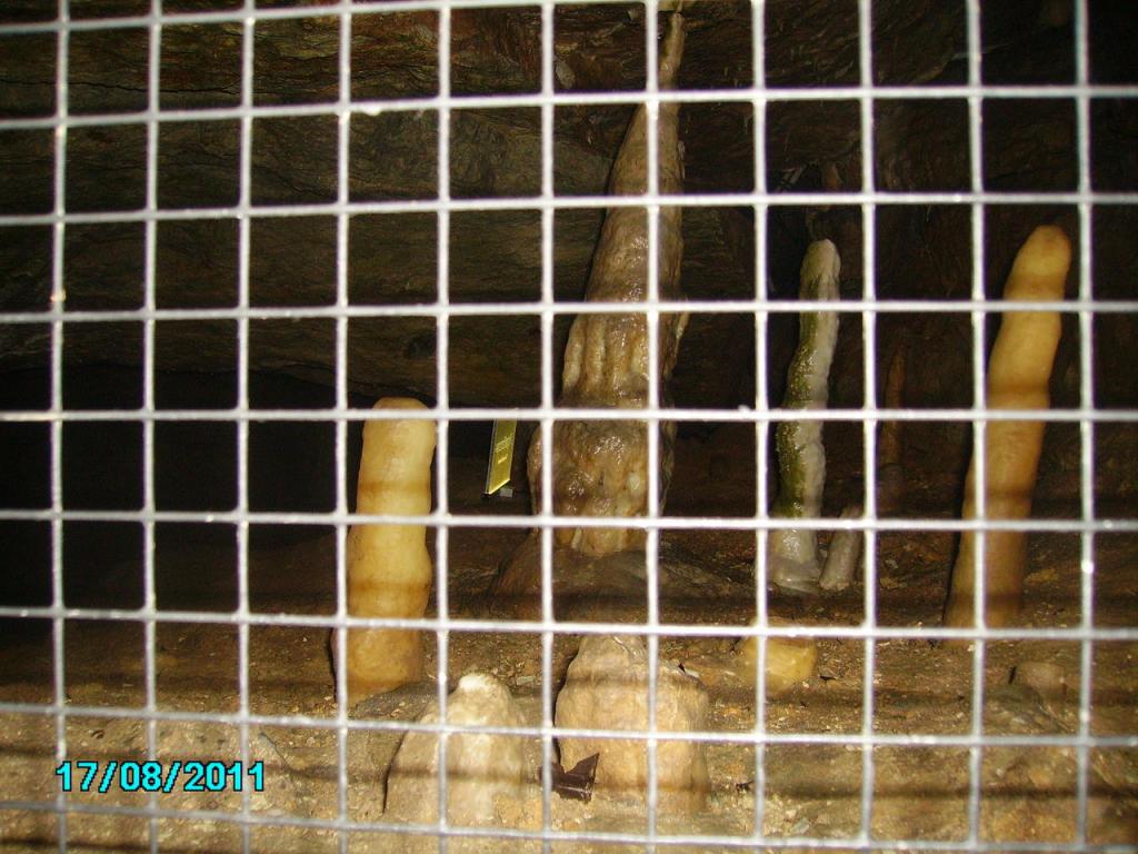 PICT0223