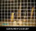 PICT0223