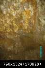 PICT0229