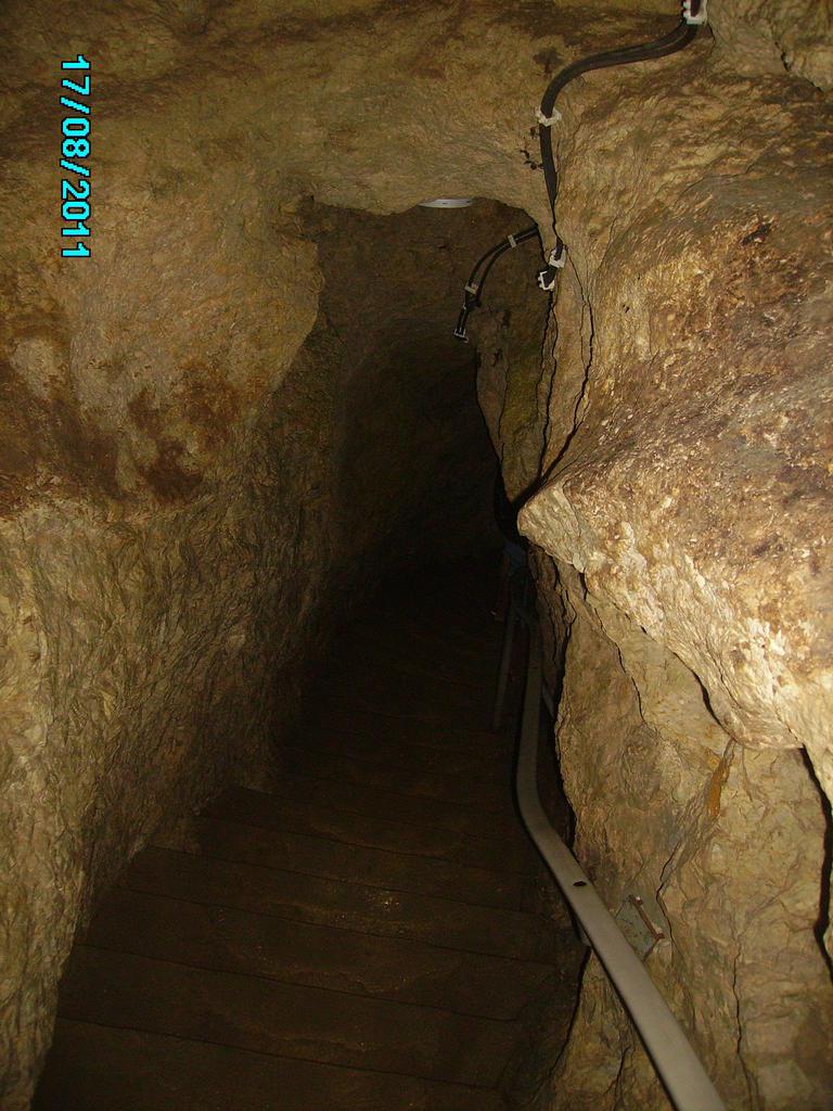 PICT0231