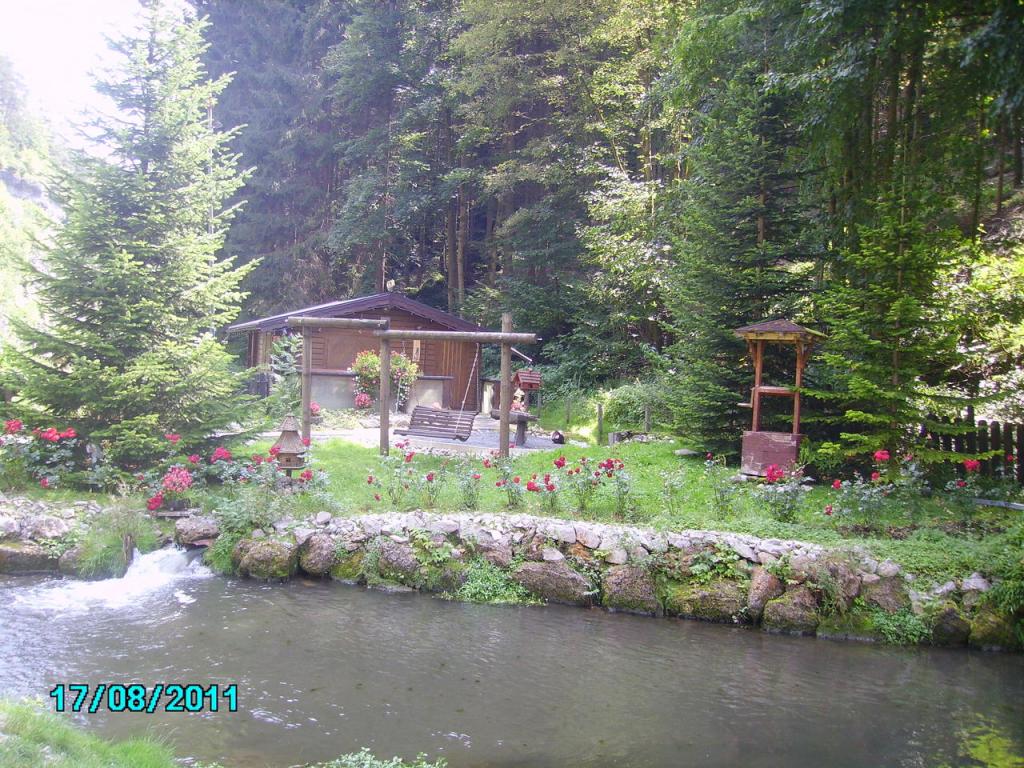 PICT0256
