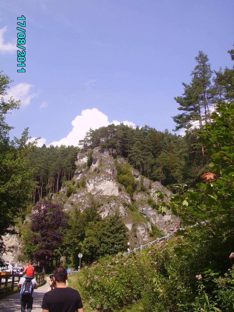 PICT0259