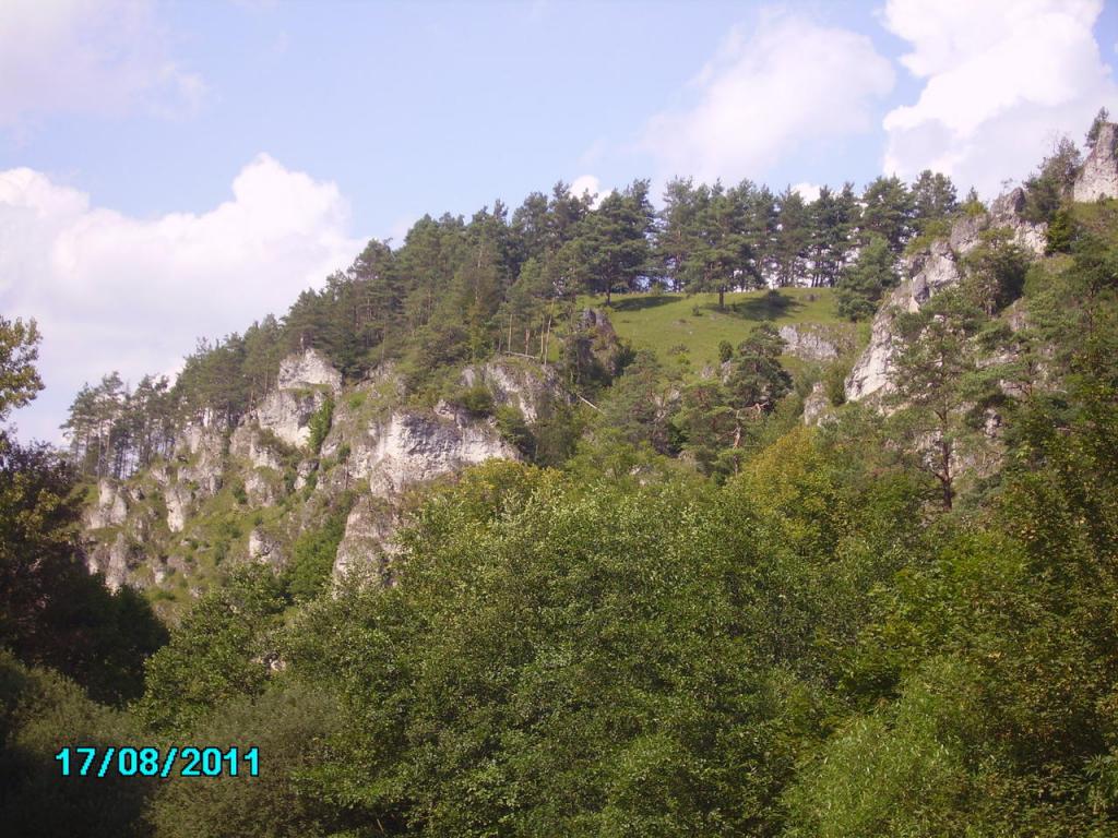PICT0266