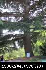 IMG 4075