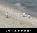 IMG 4473