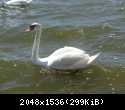 IMG 3792