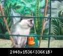 IMG 3804