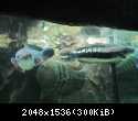 IMG 4347