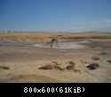 FSCN0814