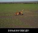 DSCN0366