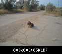 FSCN0713