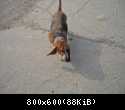 FSCN0714