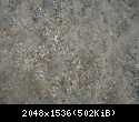 DSCF2432