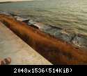 DSCF2387