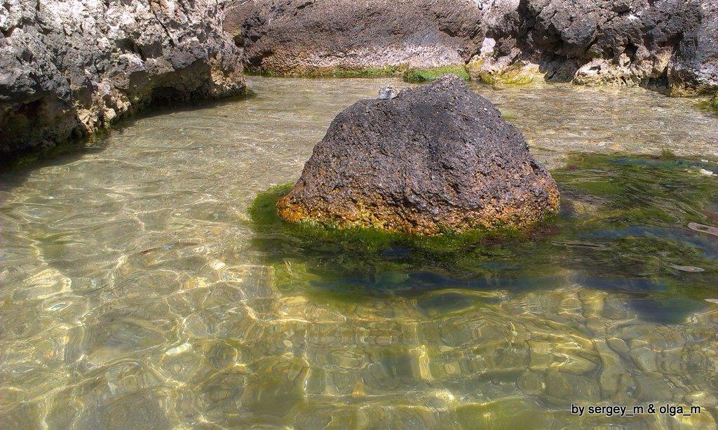 К вопросу о Азовской воде