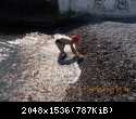 DSCN0024