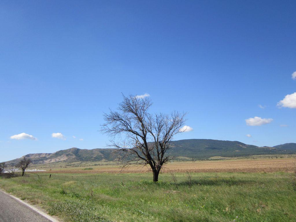 Судак 2013 0032.JPG
