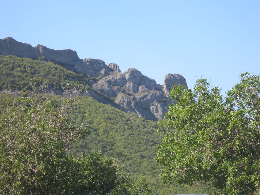 Судак 2013 0049.JPG
