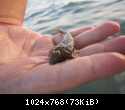 Судак 2013 0323.JPG
