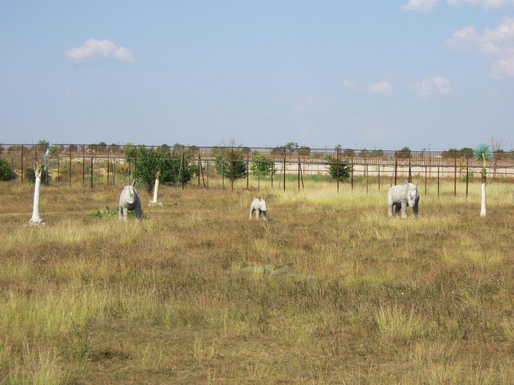 Судак 2013 0606.JPG