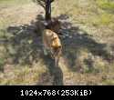 Судак 2013 0611.JPG