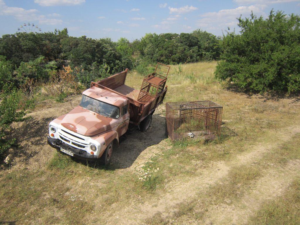 Судак 2013 0646.JPG