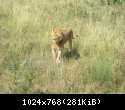 Судак 2013 0681.JPG