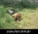 Судак 2013 0689.JPG