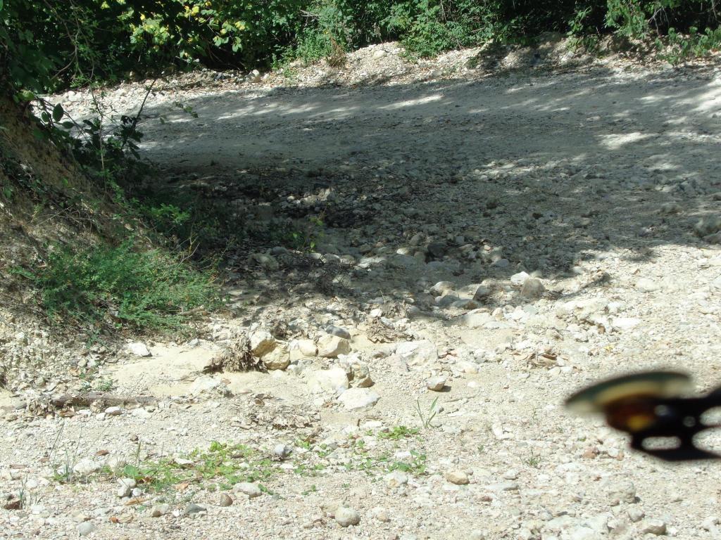 DSC00461