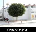 DSCN1061