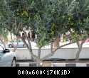 DSCN1050