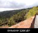 DSCN1029