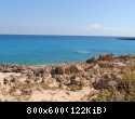 DSCN0947