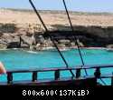 DSCN1170