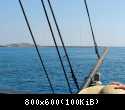 DSCN1175