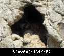 DSCN1692