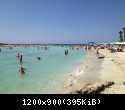 IMG 2844