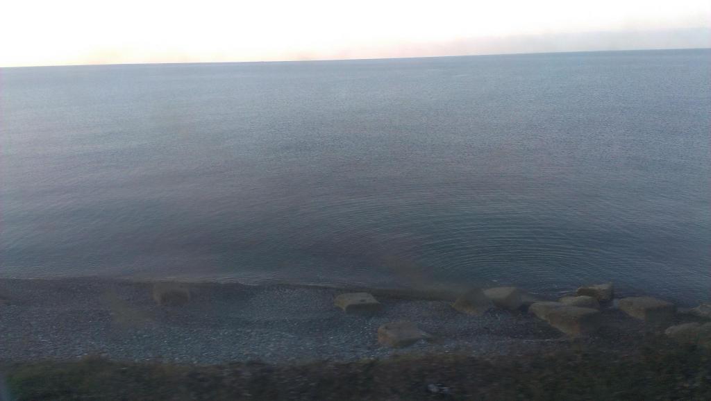 IMAG0202