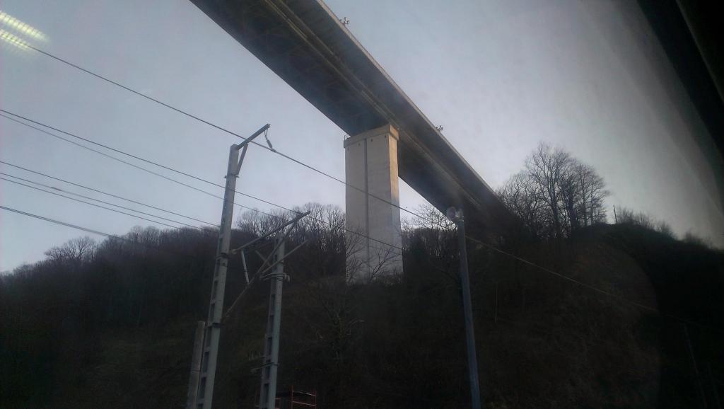 IMAG0210