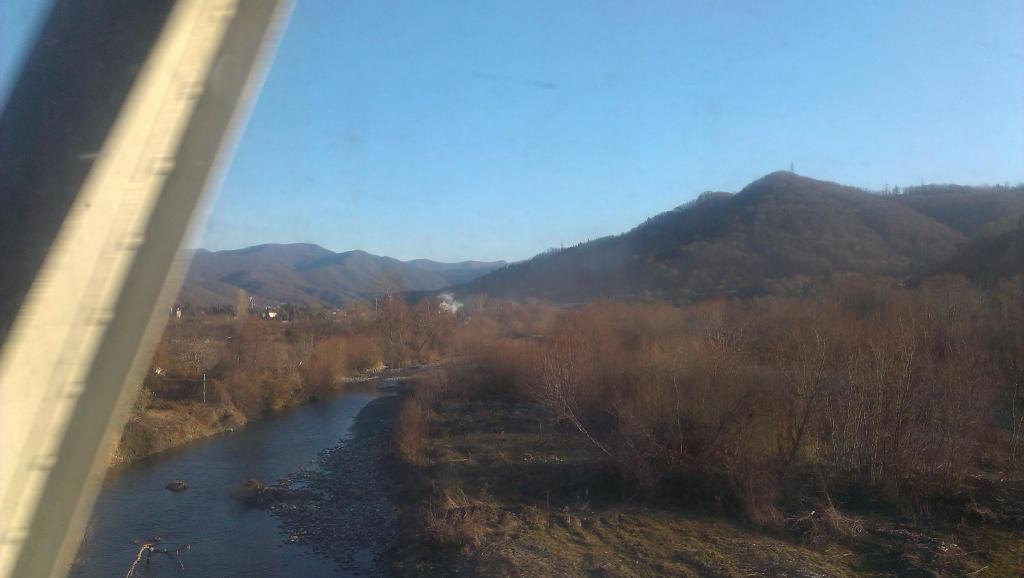 IMAG0220