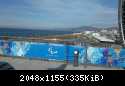 IMAG0239