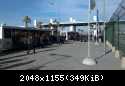 IMAG0243