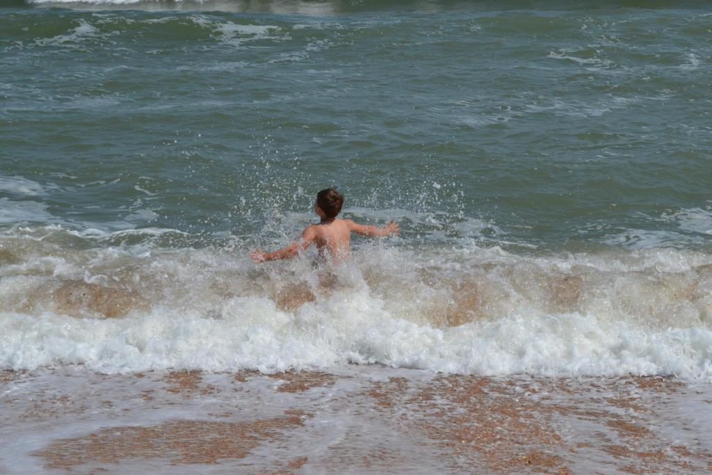 DSC 0601