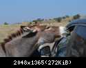 DSC 0588