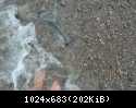IMG 2014620 122239 1