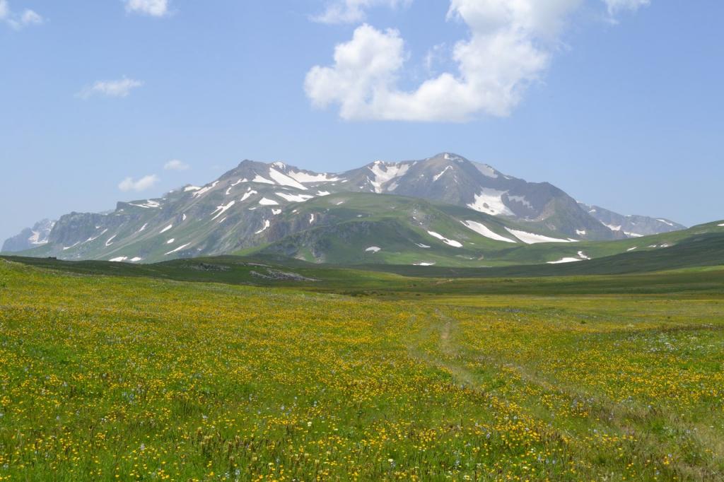 Плато Лаго-Наки, вид на г. Оштен